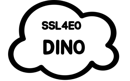 SSL4EO-DINO Logo